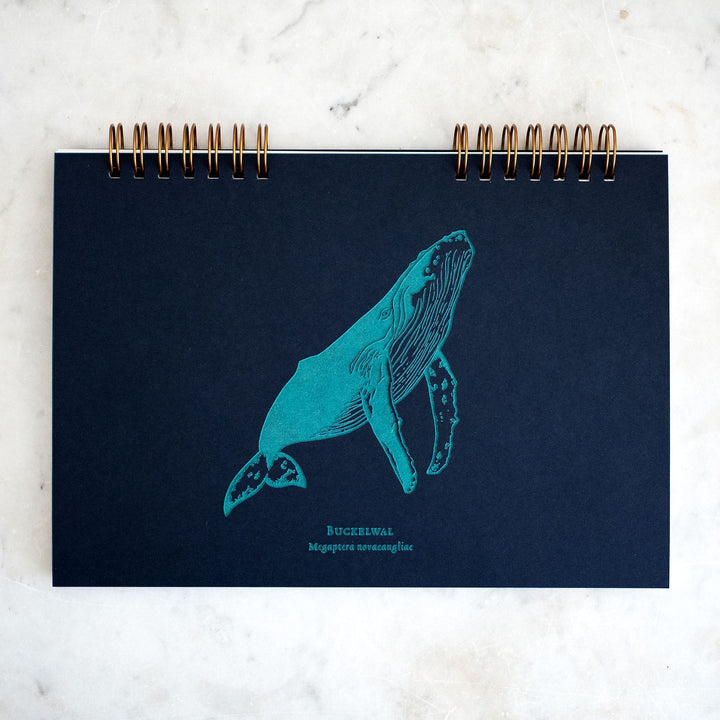 Humpback whale week planer | Typeocean