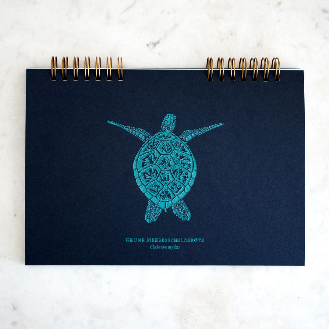 Turtle Weekplanner | Typeocean