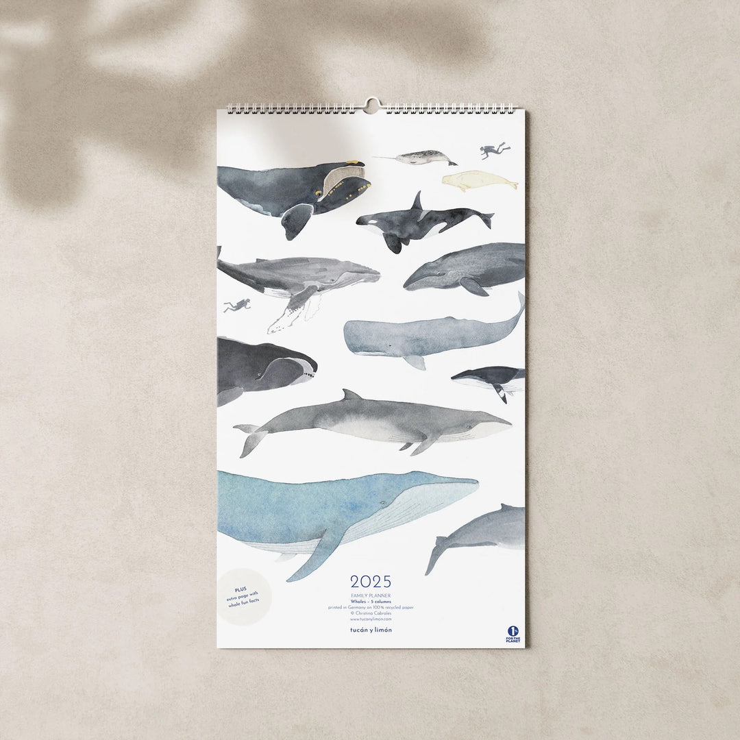 2025 family calendar showcasing whale illustrations, offering creative organization ideas for family schedules and activities.