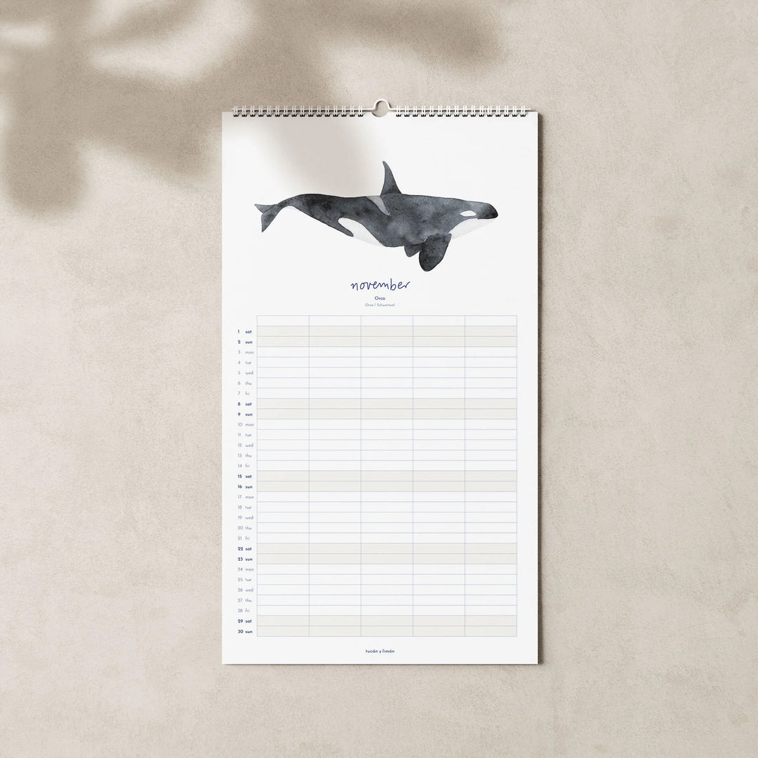 November page of the 2025 family planner calendar featuring an orca whale illustration above a grid layout for organizing family schedules and activities.