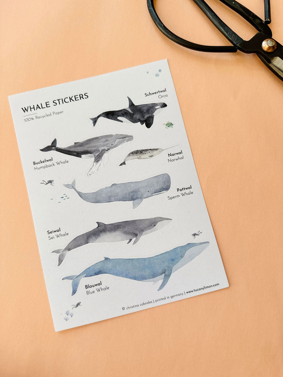 Wal Sticker aus Recyclingpapier / ohne PVC